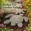 Ocean Garden Art Mold