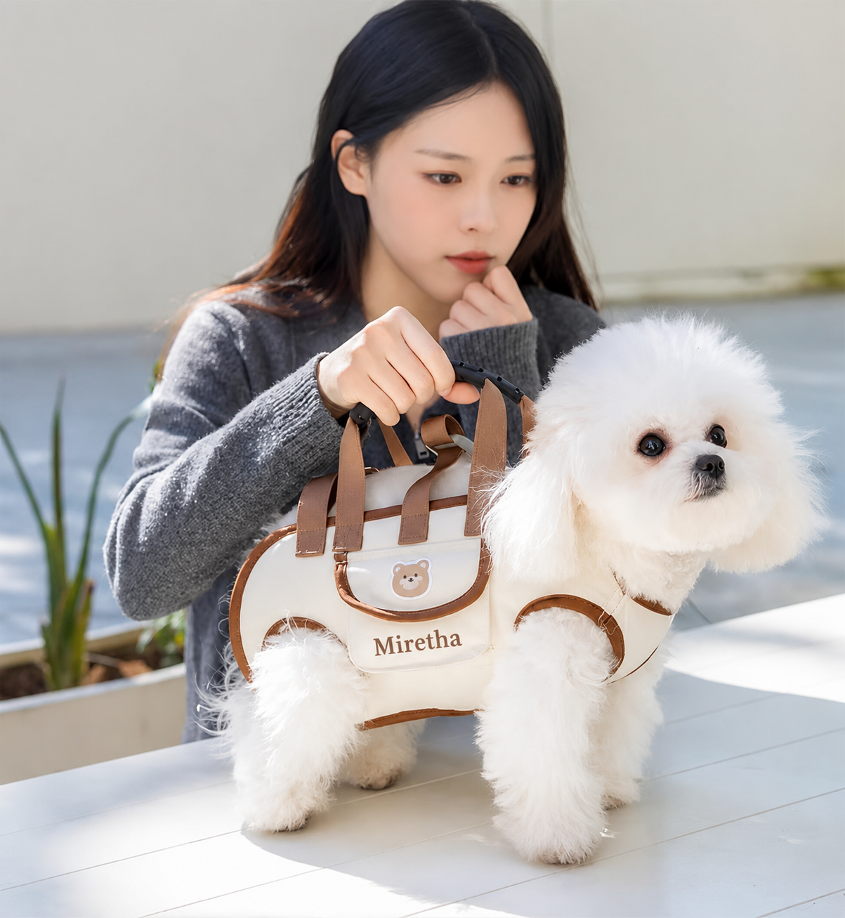 Pet Whole Body Lift Harness Pet Backpack