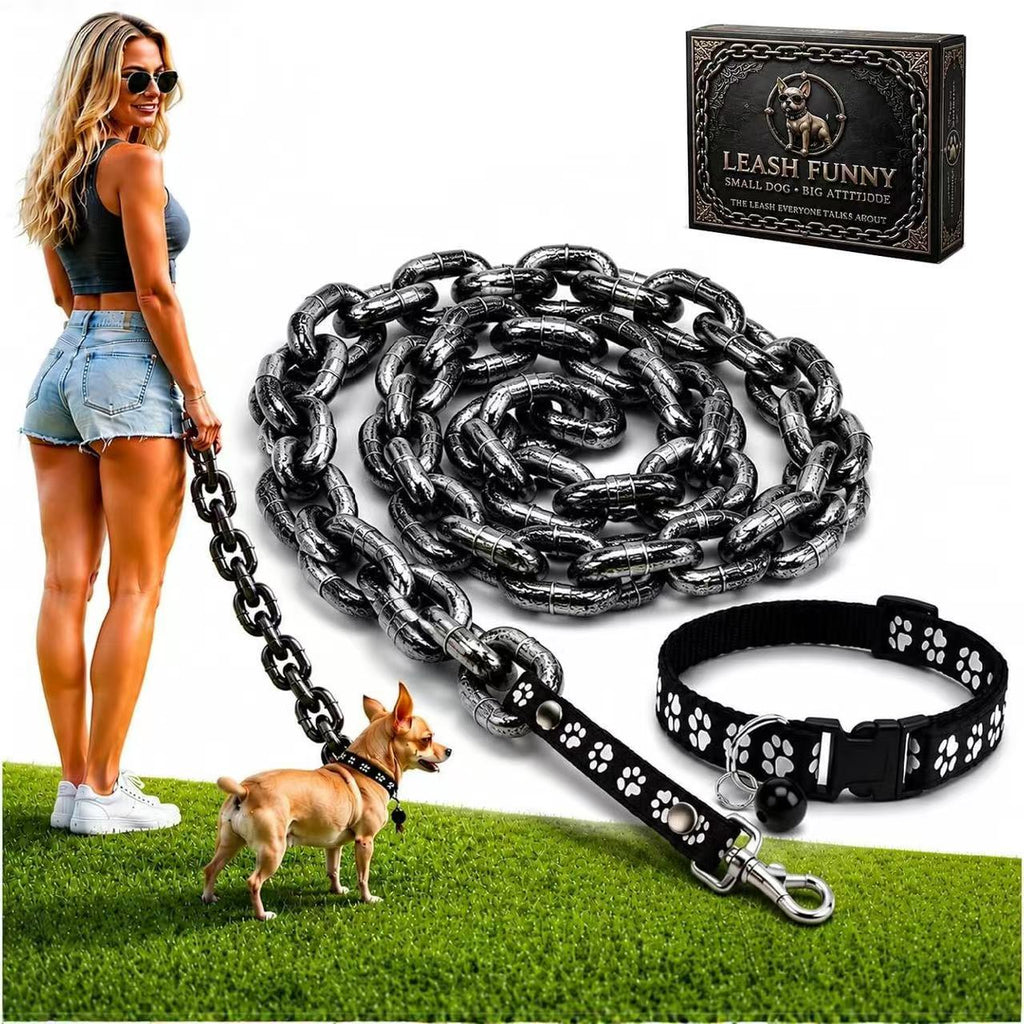 Oversized Chain Dog Leash & Collar Set for Small Dogs - Make Everyday Walks Stand Out