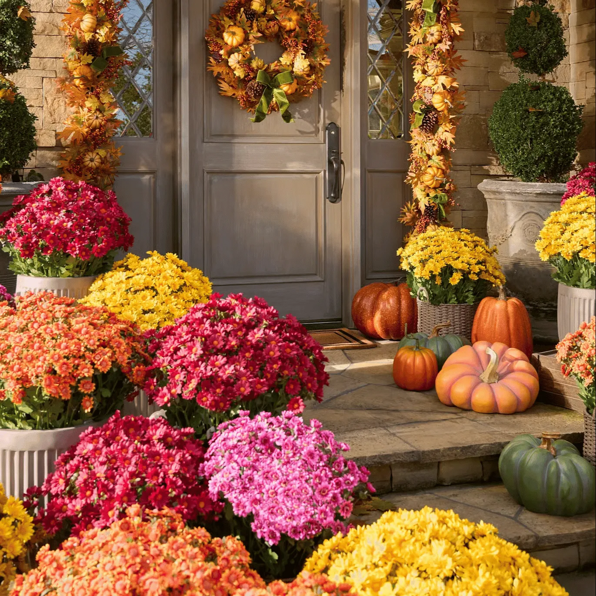 🔥 Limited Stock 49% OFF 🔥 - Artificial Outdoor Mums Flowers - UV resistant, Waterproof, Windproof🌼