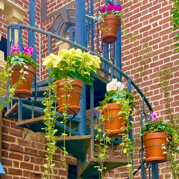 Railing Plant Hanger