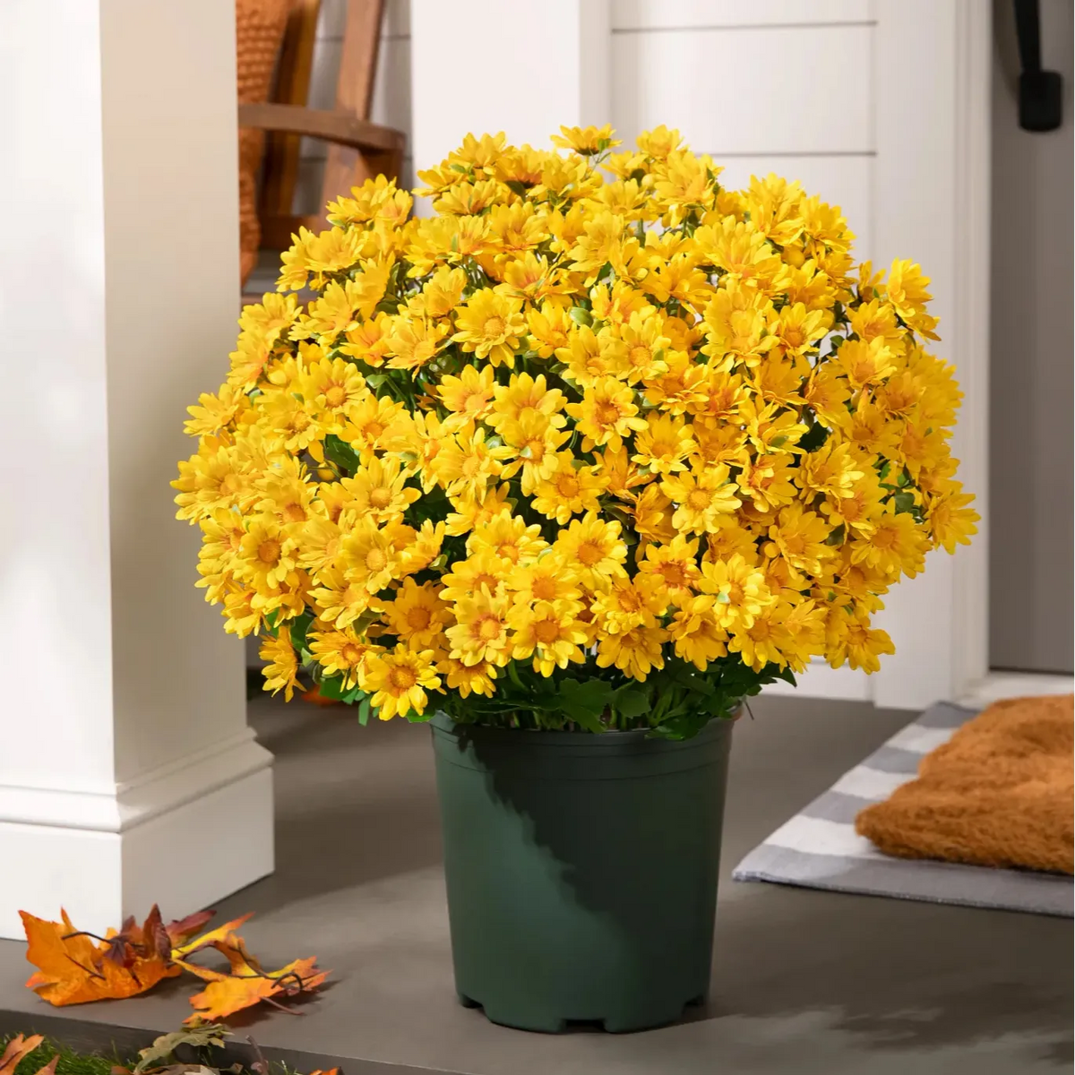 🔥 Limited Stock 49% OFF 🔥 - Artificial Outdoor Mums Flowers - UV resistant, Waterproof, Windproof🌼