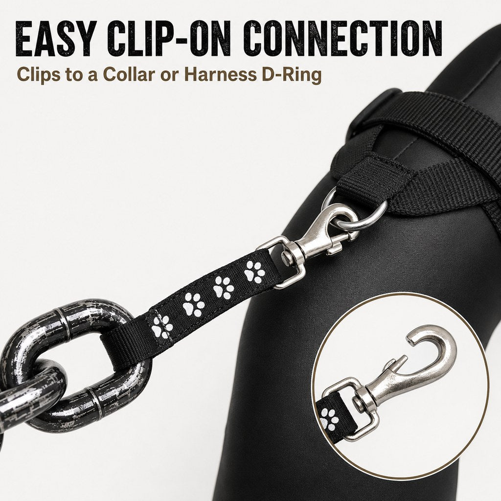 Oversized Chain Dog Leash & Collar Set for Small Dogs - Make Everyday Walks Stand Out